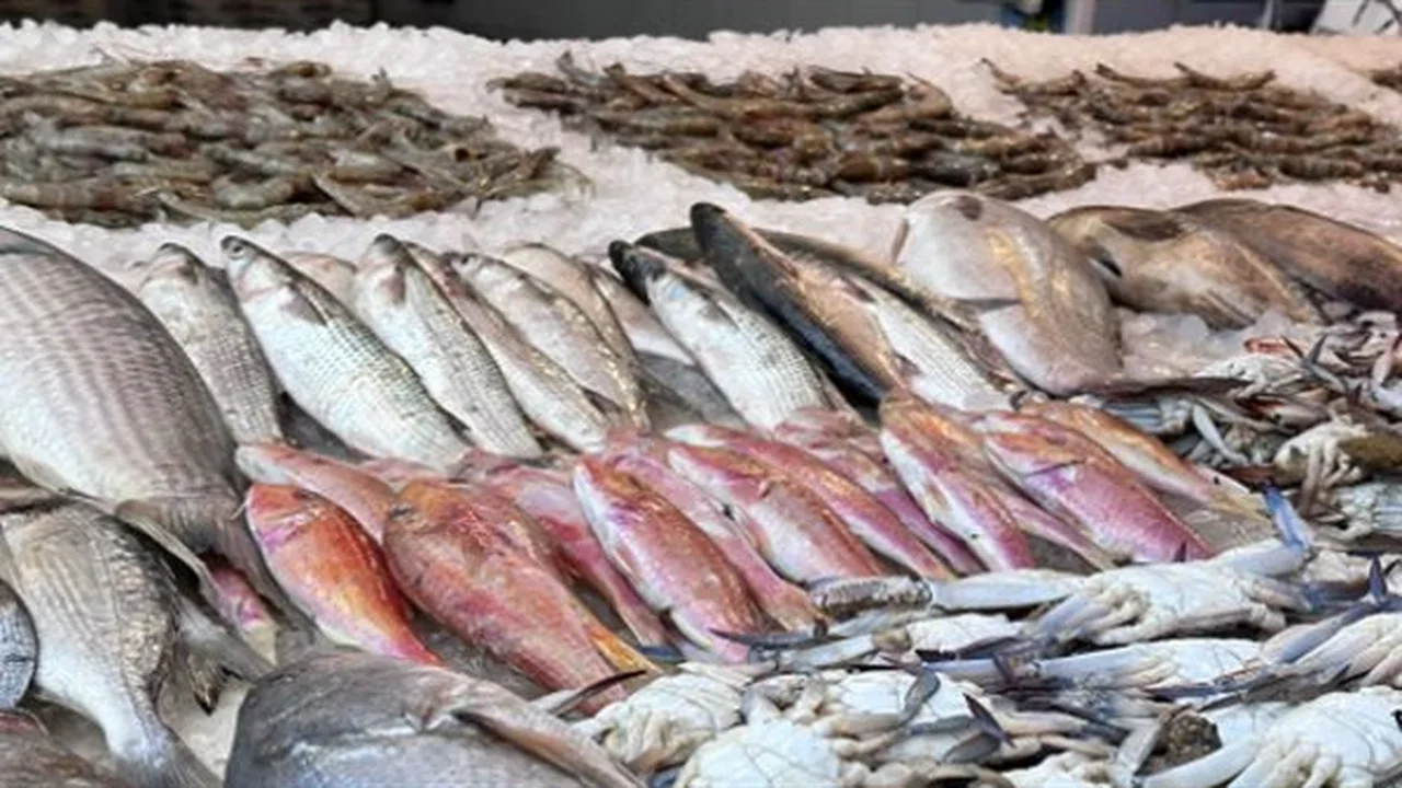 أسعار الأسماك تتغير.. السوق يعلن عن الأسعار الجديدة اليوم في العبور